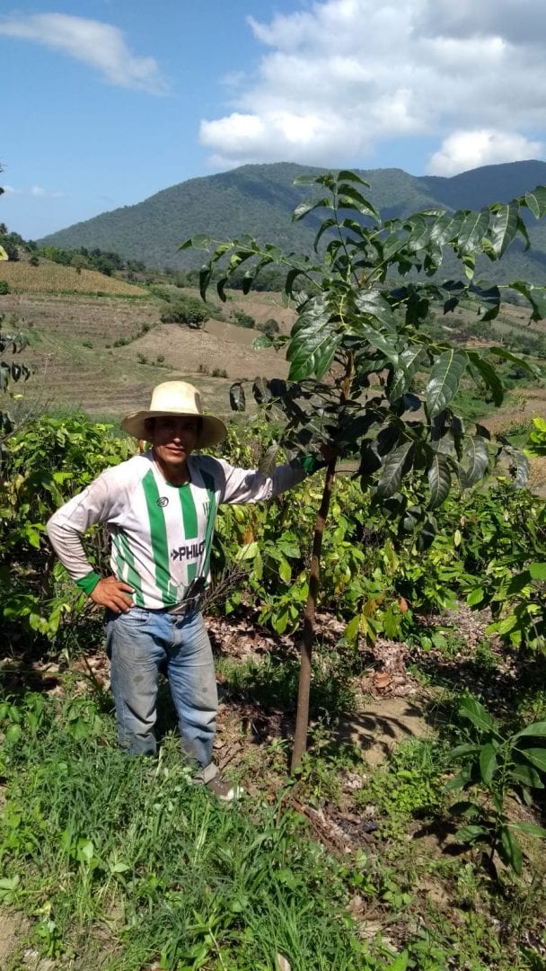 Peru_2020